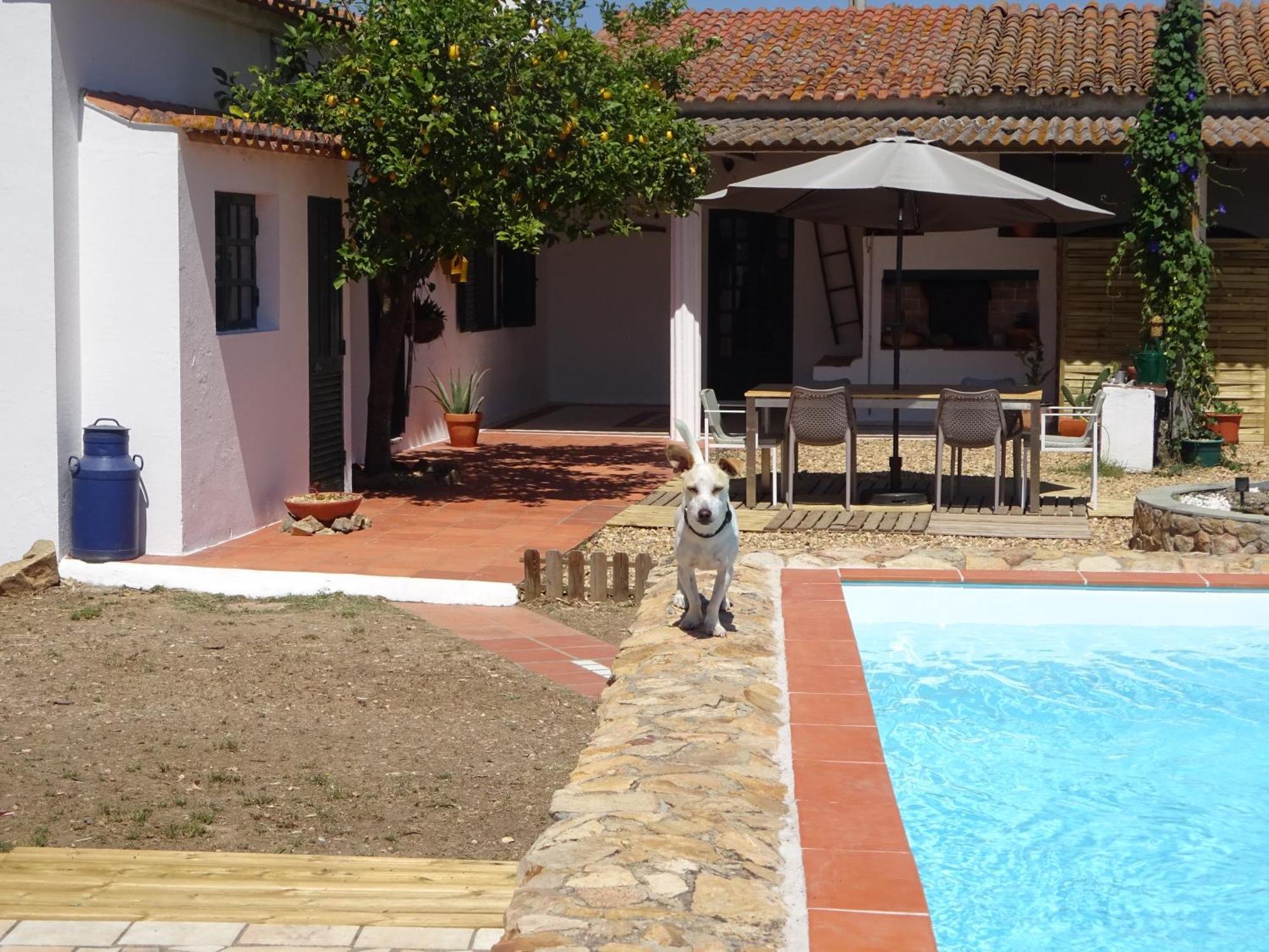 New Village Vila Nova da Baronia Ngoại thất bức ảnh